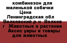 комбинезон для маленькой собачки  › Цена ­ 900 - Ленинградская обл., Волховский р-н, Волхов г. Животные и растения » Аксесcуары и товары для животных   